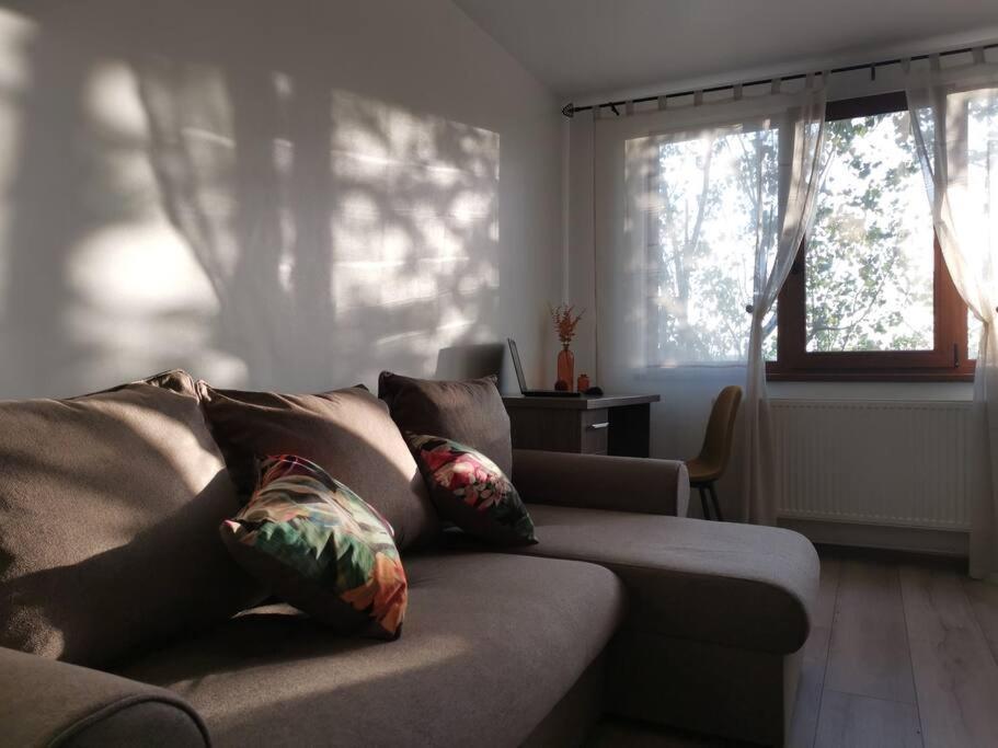 Apartament Gulliver In Centrul Vechi Iasi Exteriér fotografie