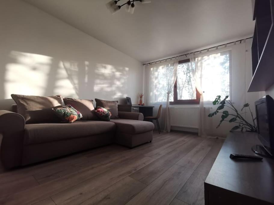 Apartament Gulliver In Centrul Vechi Iasi Exteriér fotografie