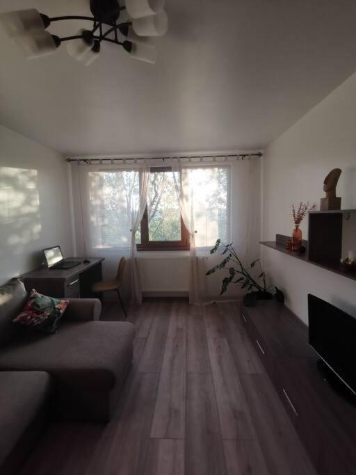 Apartament Gulliver In Centrul Vechi Iasi Exteriér fotografie